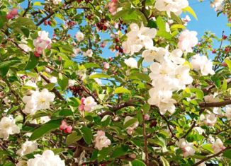 Продаю дом, 76.6 м2, СНТ Родник