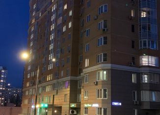Продается однокомнатная квартира, 43 м2, Москва, 6-я Радиальная улица, 5к4, станция Царицыно