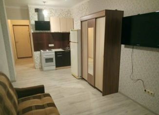 Сдаю квартиру студию, 28 м2, Батайск, улица Крупской, 1, ЖК Встреча