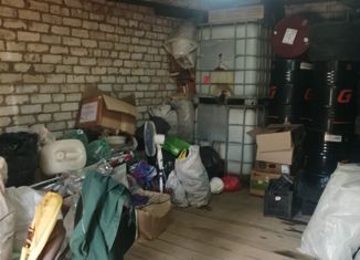 Гараж на продажу, 28 м2, село Осиново, улица 40-летия Победы, 24А