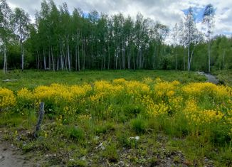 Земельный участок на продажу, 12 сот., село Заозерье, Новоручейная улица