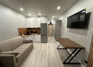 Продаю квартиру студию, 24 м2, Сочи, Православная улица, 16/1, микрорайон Энергетик-Изумруд