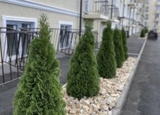 1-комнатная квартира на продажу, 35 м2, Нальчик, улица А.А. Кадырова, 80к1, район Молодёжный