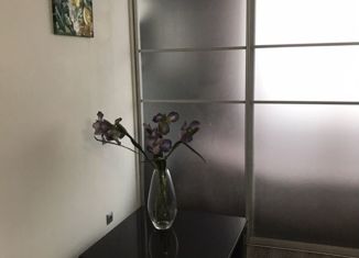 Продается квартира студия, 26.4 м2, село Чигири, улица Лесной Бор, 28