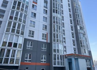 Продам 2-комнатную квартиру, 64 м2, деревня Киселёвка, Изумрудная улица, 1