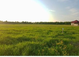 Продается участок, 15 сот., село Мишкино, Родниковая улица, 2А