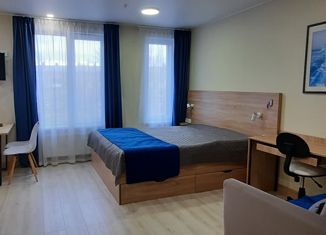 Сдаю квартиру студию, 31 м2, Санкт-Петербург, улица Матроса Железняка, 2, метро Чёрная речка