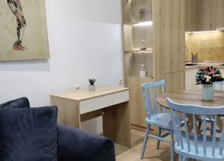 Продается однокомнатная квартира, 40 м2, Краснодар, Промышленная улица, 49/2, Центральный округ