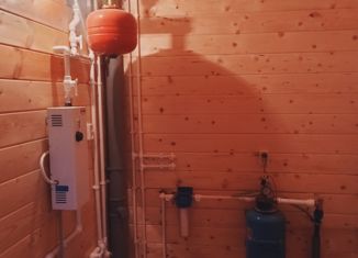 Дом на продажу, 110 м2, СНТ Русь, СНТ Русь, 100