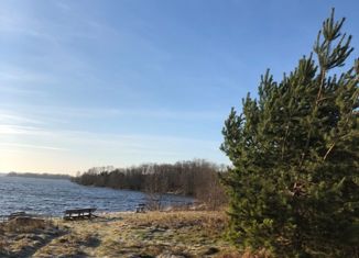 Продам земельный участок, 51 сот., деревня Пабережье, Новая улица