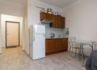 Продажа квартиры студии, 27 м2, Санкт-Петербург, проспект Маршала Блюхера, 7к3, ЖК Ландыши