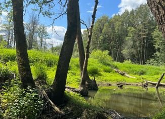 Продаю земельный участок, 10.6 сот., деревня Острожки, эко-посёлок Светлая Поляна, 255