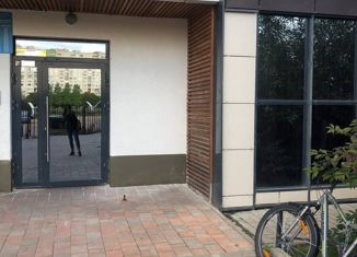 Продажа квартиры студии, 26.9 м2, Санкт-Петербург, улица Вадима Шефнера, 12к1, метро Приморская