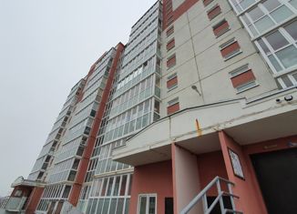 Сдается 1-ком. квартира, 36 м2, Елец, микрорайон Александровский, 18