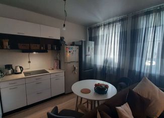 Продам квартиру студию, 26.5 м2, Санкт-Петербург, проспект Королёва, 59к1, ЖК Граффити