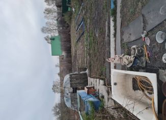 Продажа дома, 28.4 м2, село Хмелево, Береговой переулок, 3