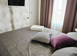 Продается однокомнатная квартира, 40 м2, Сочи, улица Яна Фабрициуса, 2/17, микрорайон Яна Фабрициуса