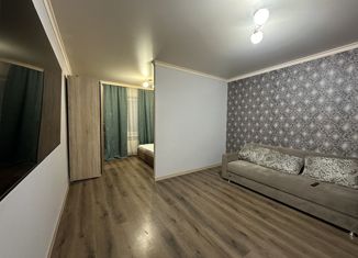 Сдаю 1-комнатную квартиру, 55 м2, Пятигорск, улица Пестова, 15