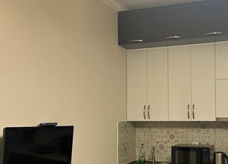 Продаю однокомнатную квартиру, 43 м2, Краснодар, улица имени 40-летия Победы, 184к1, ЖК Бауинвест