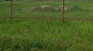 Продажа земельного участка, 24 сот., деревня Ботня, Садовая улица, 6