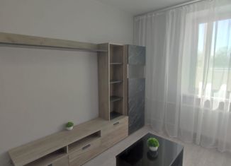 Продается квартира студия, 24 м2, Ростов-на-Дону, улица Юрия Дубинина, 9, ЖК Суворовский