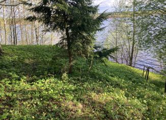 Продажа дома, 31 м2, деревня Абрамово