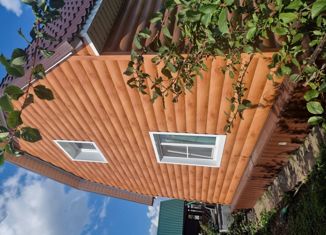 Продается дом, 58.6 м2, деревня Александровка, Гормашевская улица