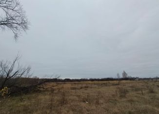 Продам земельный участок, 15 сот., село Большая Талинка, улица Ворошилова