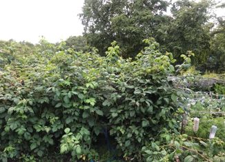 Продается земельный участок, 6.8 сот., посёлок Пионерский, Центральная улица