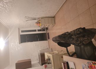 Продается 1-ком. квартира, 30.4 м2, село Ир, улица Фиделя Кастро, 6Г