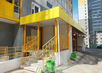 Продается 1-ком. квартира, 43 м2, Красноярск, Лесопарковая улица, 17Г, ЖК Курчатова