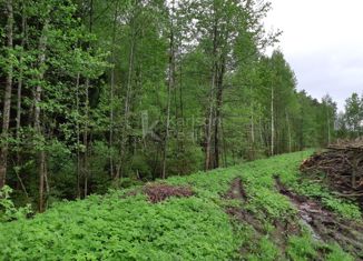 Продам земельный участок, 7 сот., садовое товарищество Надежда, садовое товарищество Надежда, 76