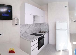 Продажа квартиры студии, 24.7 м2, Барнаул, Центральный район, Змеиногорский тракт, 82