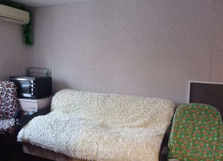 Продажа однокомнатной квартиры, 25.2 м2, Саратов, 2-й Магнитный проезд, 42, Кировский район