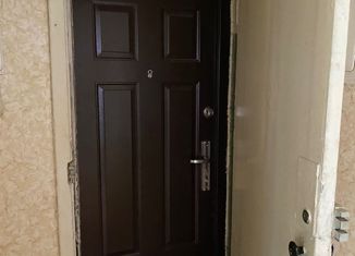 1-ком. квартира на продажу, 30.5 м2, поселок Любань, проспект Мельникова, 13