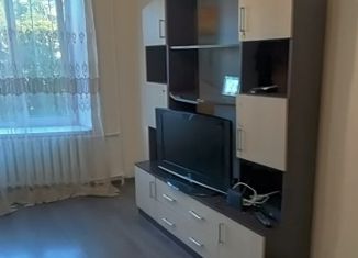 Аренда 2-ком. квартиры, 45 м2, Санкт-Петербург, Посадская улица, 25