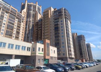 Продается 2-комнатная квартира, 114 м2, Санкт-Петербург, Приморский проспект, 137к1, ЖК Золотая Гавань