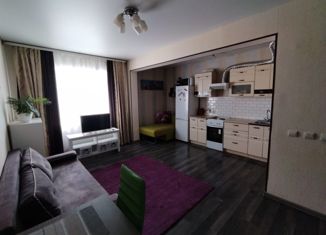 Однокомнатная квартира на продажу, 29 м2, Омск, Мельничная улица, 87к3