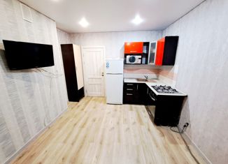 Продажа 1-комнатной квартиры, 39.1 м2, село Осиново, Садовая улица, 2