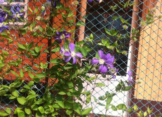 Дом на продажу, 110 м2, посёлок Новосергиевка, улица Жукова, 13