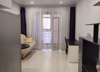 Продам квартиру студию, 27.1 м2, Новосибирск, 2-я Обская улица, 154, метро Речной вокзал