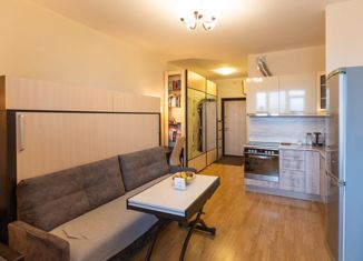 Квартира на продажу студия, 24 м2, Мурино, ЖК Тридевяткино Царство, улица Шоссе в Лаврики, 74к1
