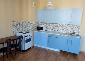 Продается квартира студия, 29 м2, Санкт-Петербург, Толубеевский проезд, 24