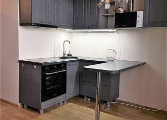 Продается квартира студия, 24 м2, микрорайон Вишнёвая Горка, Олимпийская улица, 5