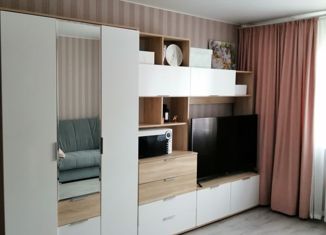 Продается однокомнатная квартира, 29 м2, Домодедово, улица Курыжова, 30