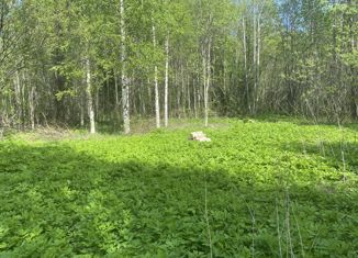 Продам участок, 15 сот., село Липин Бор, Северная улица, 9