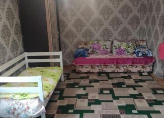 Продажа однокомнатной квартиры, 32 м2, Пермь, Хабаровская улица, 163, Дзержинский район