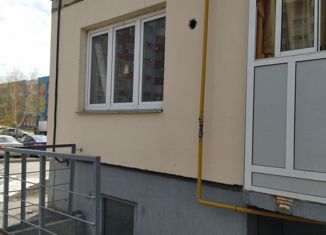 Продаю 1-комнатную квартиру, 33.8 м2, Омск, 21-я Амурская улица, 41, Центральный округ