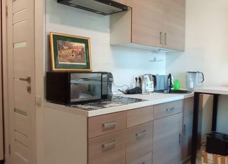 Продам квартиру студию, 18 м2, Москва, улица Вертолётчиков, 4к1, метро Некрасовка