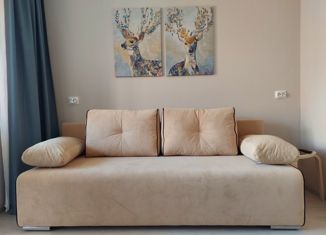 Сдам в аренду квартиру студию, 19.4 м2, Санкт-Петербург, Славянская улица, 8, Славянская улица